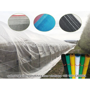 high quality insect screen greenhouse